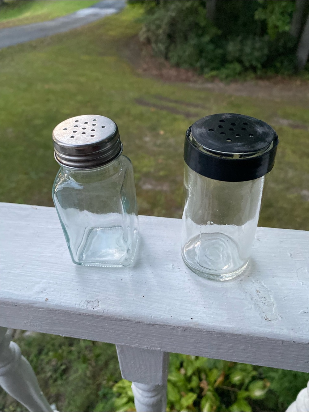 Glass Clear Salt & Pepper Shaker Set (2)